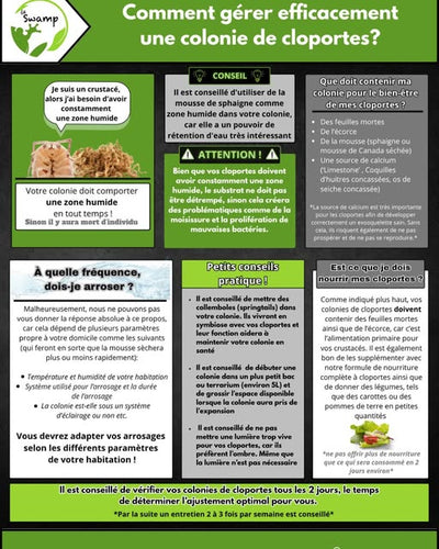 LE GUIDE ULTIME POUR VOS CLOPORTES EST ARRIVÉ !