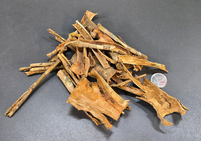 Écorce d'Arjuna (50g)