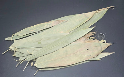Feuilles de bamboo (1 oz)