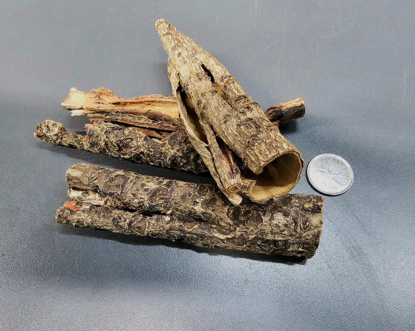 Écorce ronde de Catappa (50g)