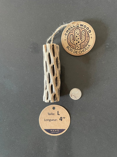 Bois Cholla - Large - 4''