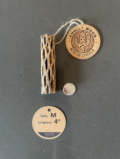 Bois Cholla - Medium - 4''