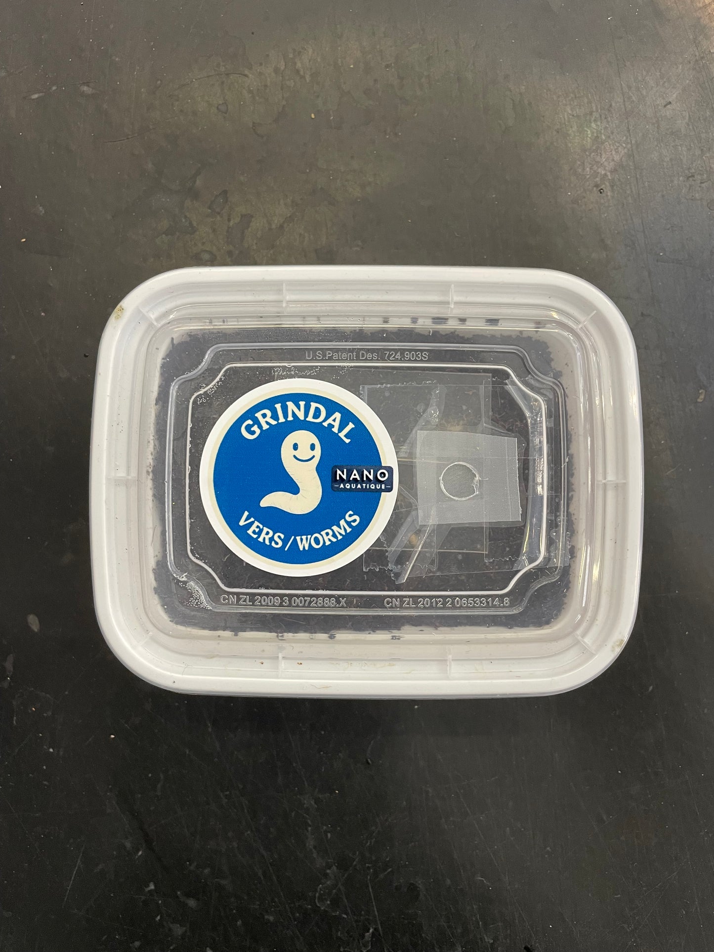 Vers Grindal - Contenant 12oz + 1 plaque de récolte