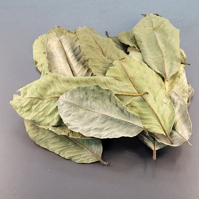 Feuilles de Goyavier (0.5 oz)