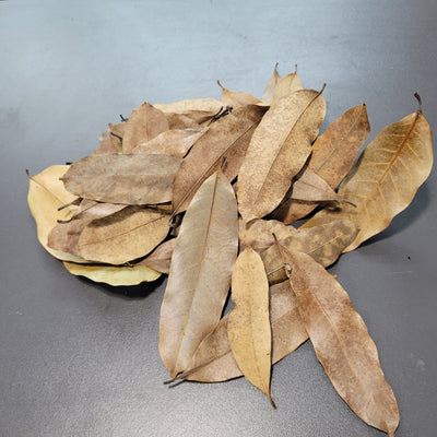 Feuilles de Khaya (1.5 oz)