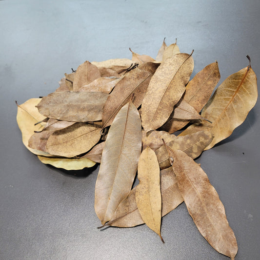 Feuilles de Khaya (0.5 oz)