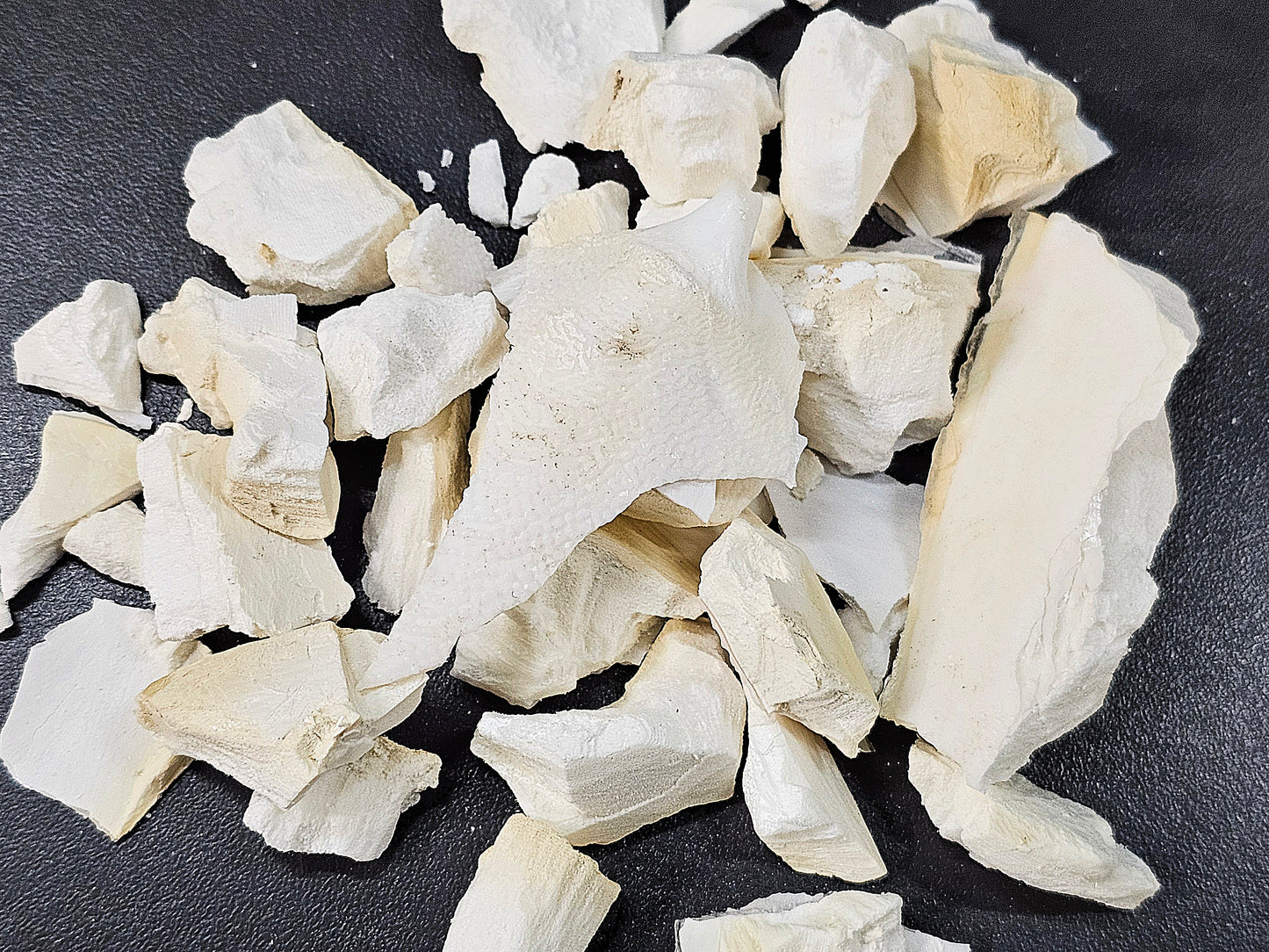 Os de seiche concassés (100g)
