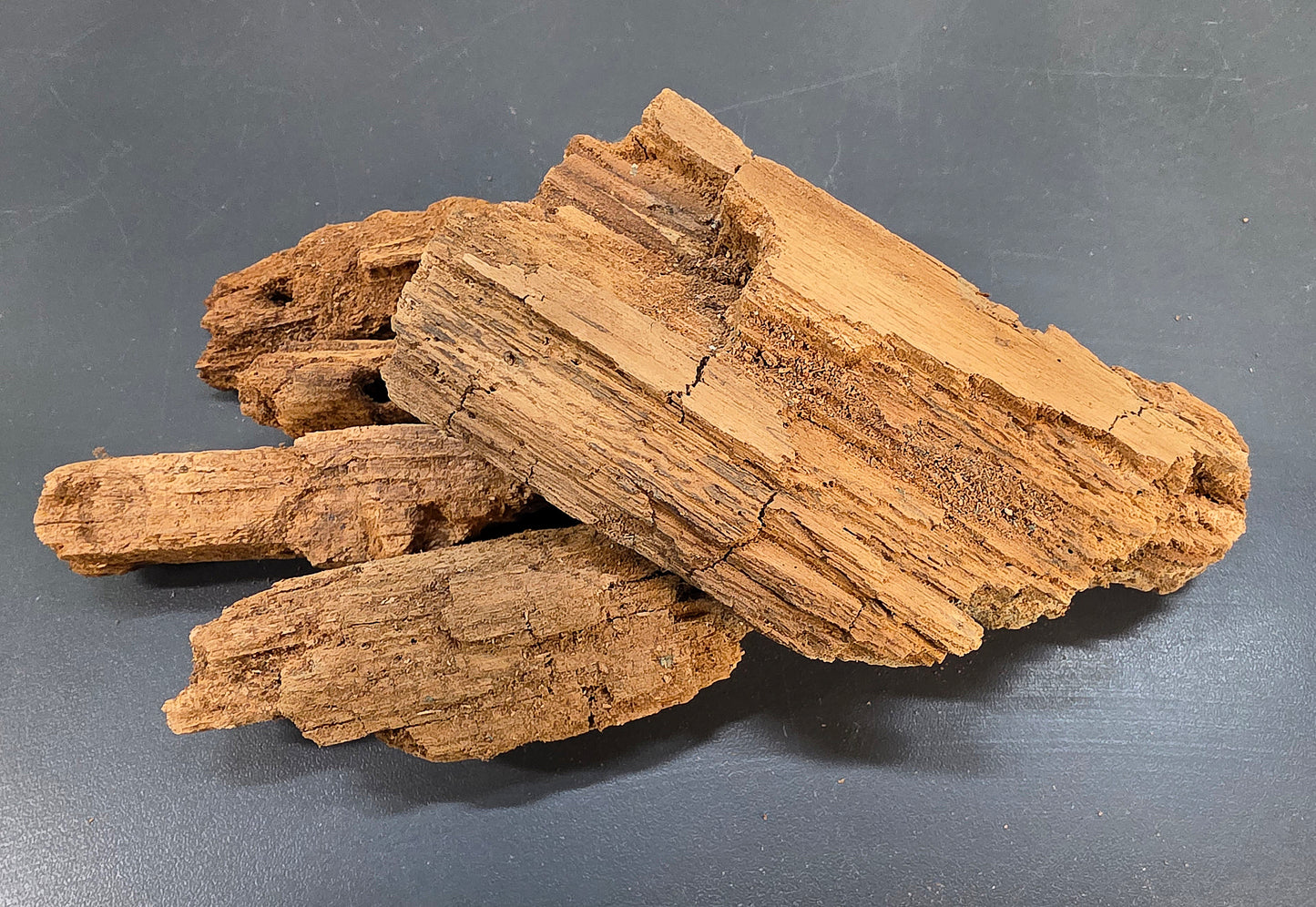 Bois en décomposition 100g