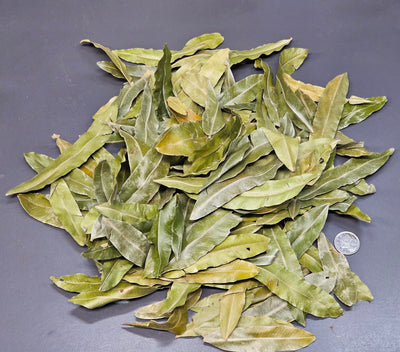 Feuilles de Palmier de Thika (1 oz)